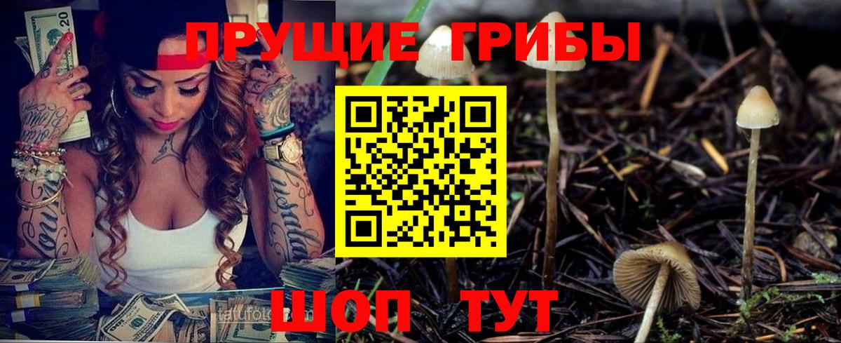 Псилоцибиновые грибы Psilocybe  Псилоцибиновые грибы мухоморы  купить наркотик  Черкесск  Вход с VPN 